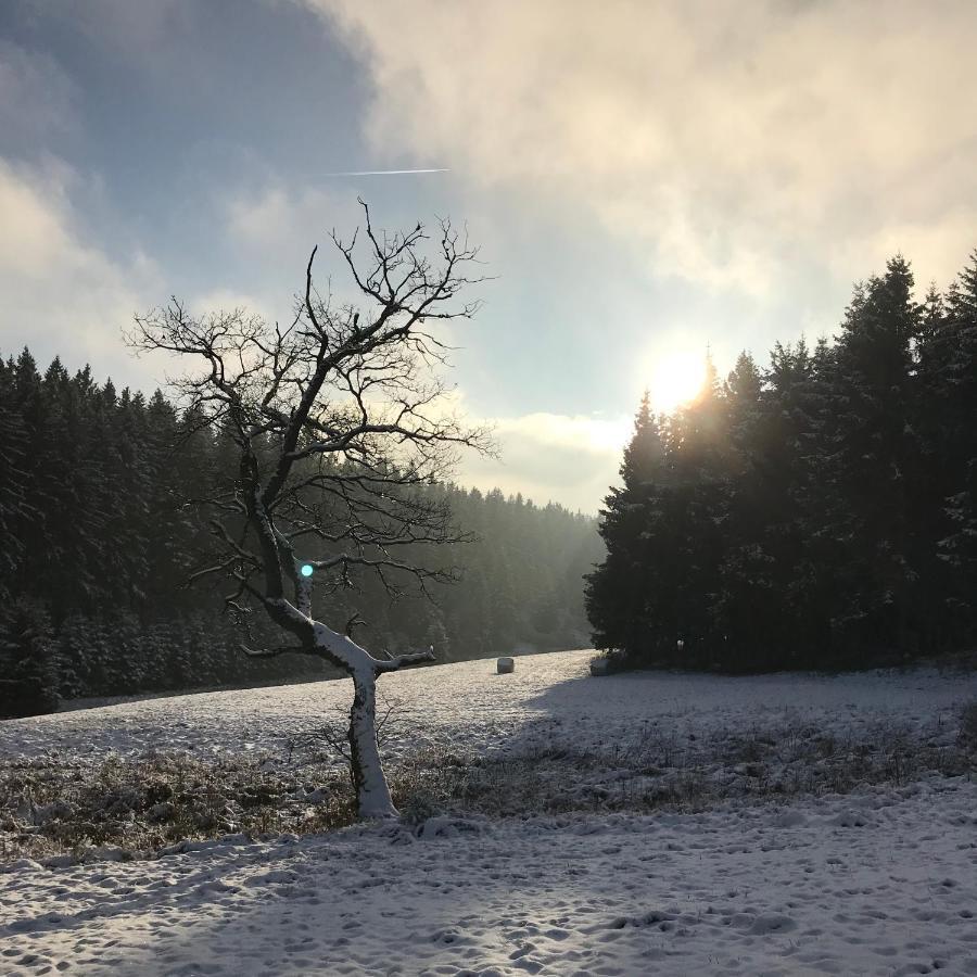 Chalet de charme, le Caribou Lodge, Eifel belge Büllingen Buitenkant foto